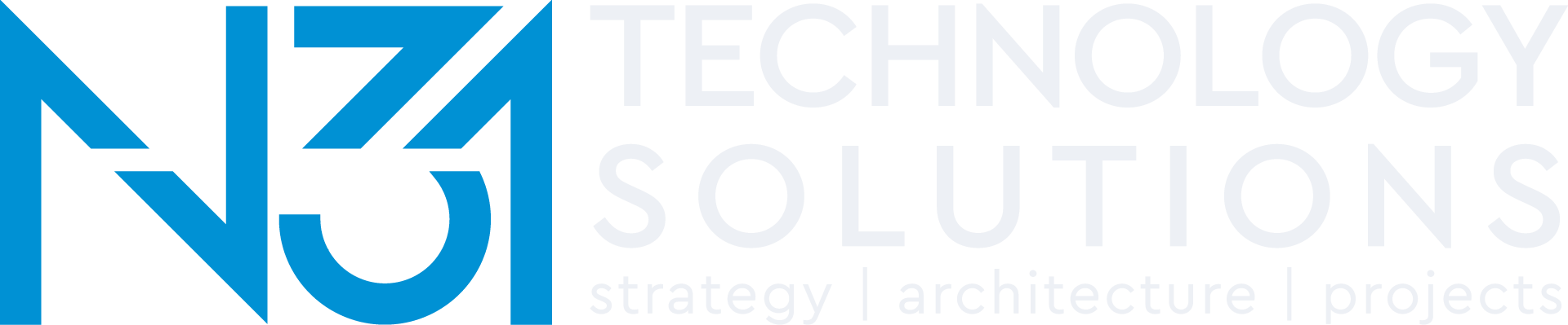 n31 technology solutions