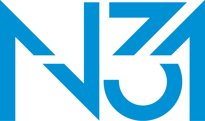 n31 technology solutions